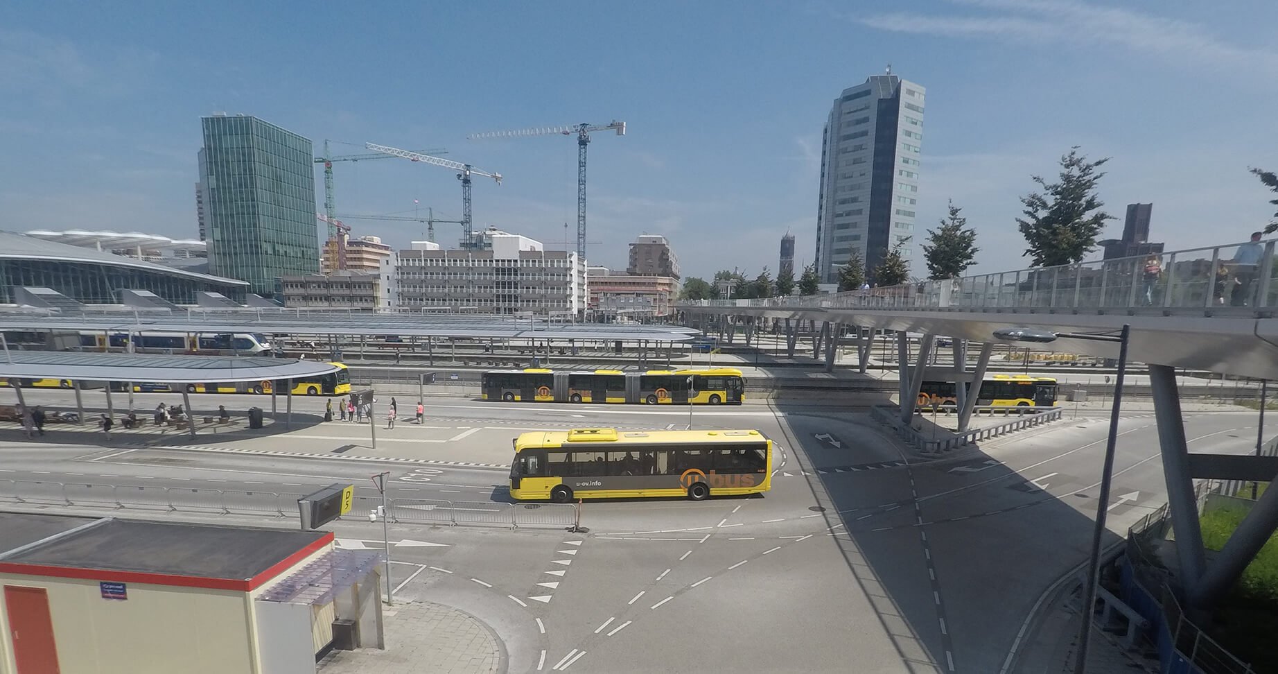 As easy as A to ZEB? Finding the path to zero emission buses on the way to net-zero 2050