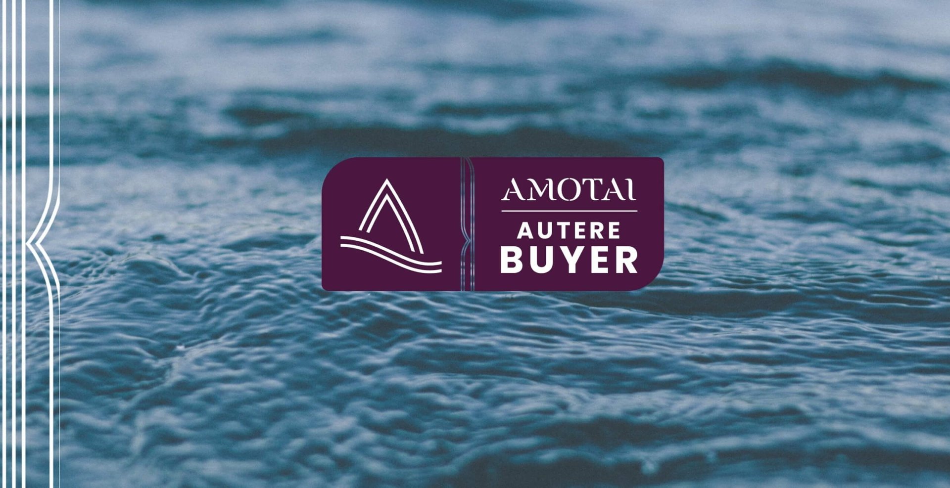 TSA Management Joins Amotai as a Buyer