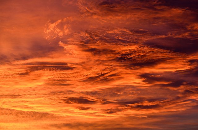 AdobeStock_resized-scaled.jpg thumbnail