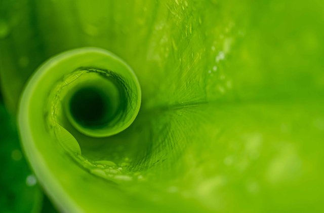 Celebrating Success: TSA Riley APAC Promotions thumbnail