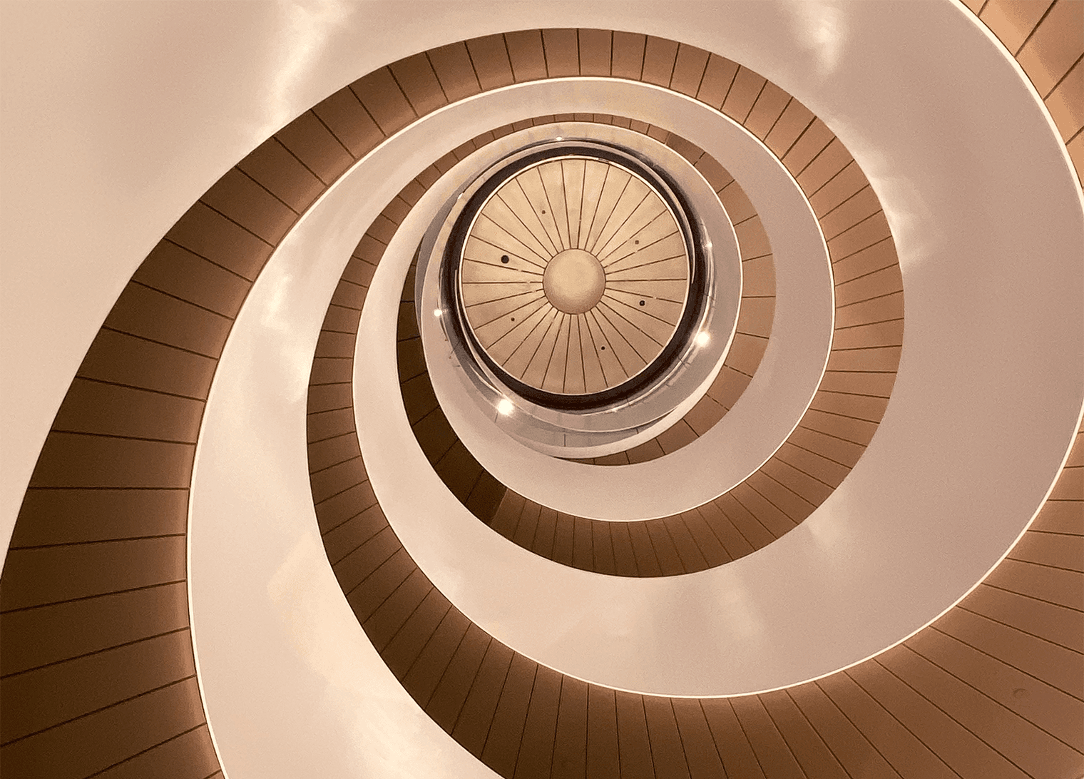 Celebrating TSA Riley's Latest Promotions