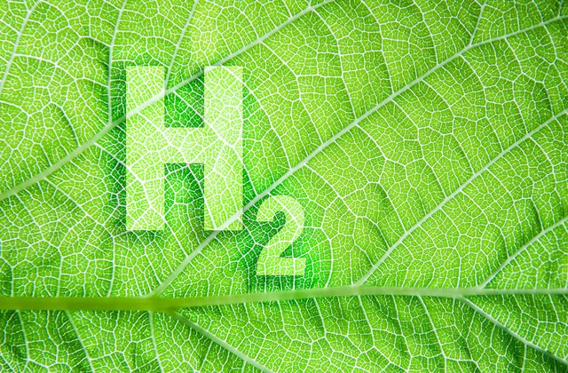 NZ_WLG_Green-Hydrogen-scaled.jpeg thumbnail